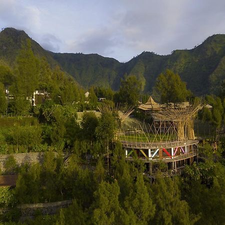Pagupon Bromo Budget Lodge Buitenkant foto